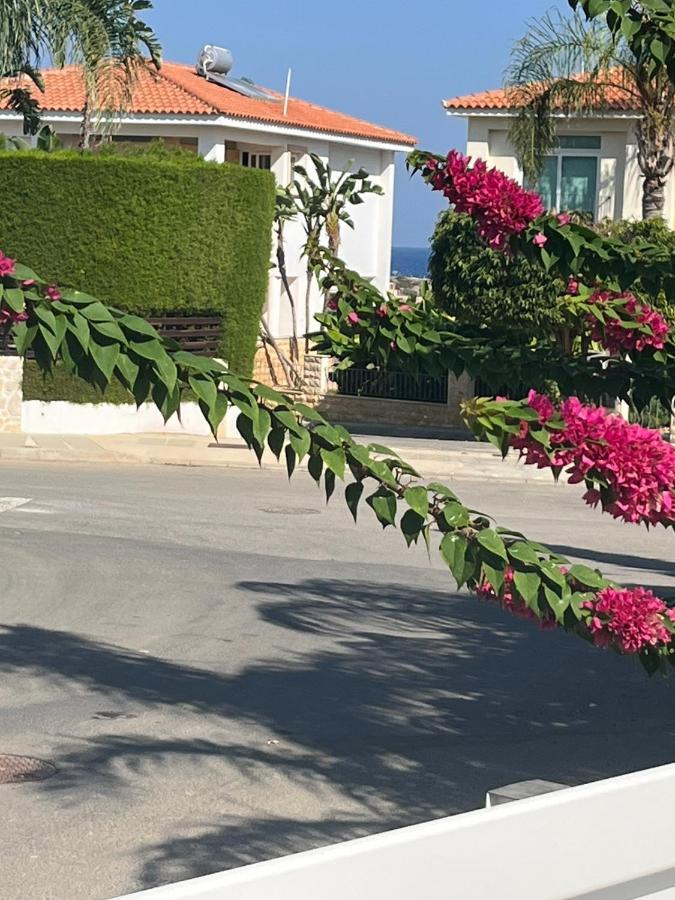 Zoe'S Villa By Turtle Bay Protaras Bagian luar foto