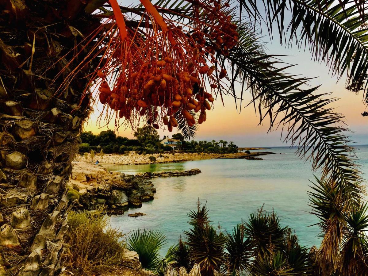 Zoe'S Villa By Turtle Bay Protaras Bagian luar foto